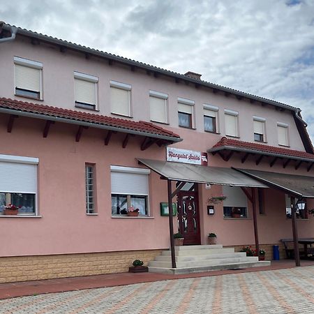 Hangulat Szallo Zalaszentbalazs Exterior photo
